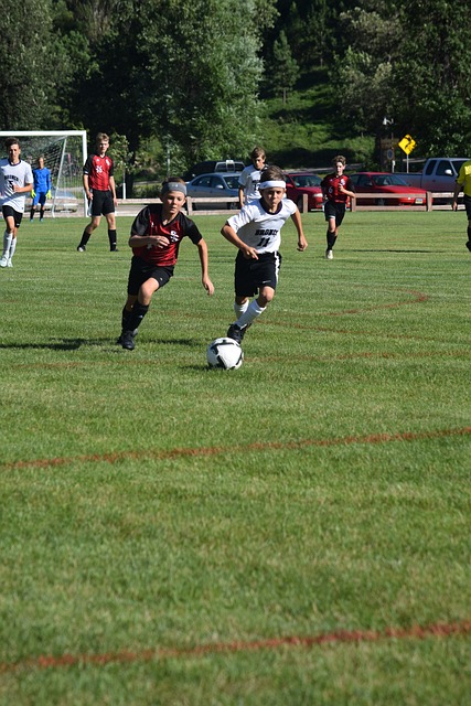 坦特所言 坦特所言